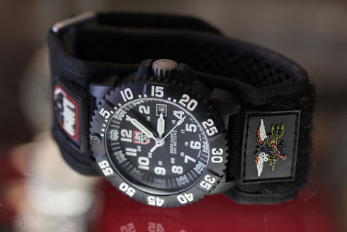 Luminox 3951 EVO Navy SEAL Watch