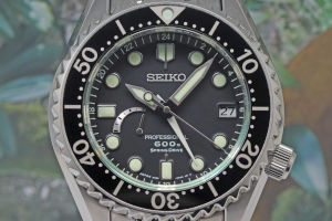 Marine Master Professional Diver 600 Spring Drive SBDB011